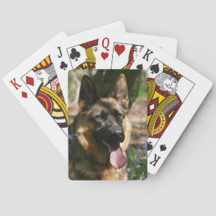 German Shepherd Playing Cards
