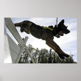 German Shepherd Police Dog Poster