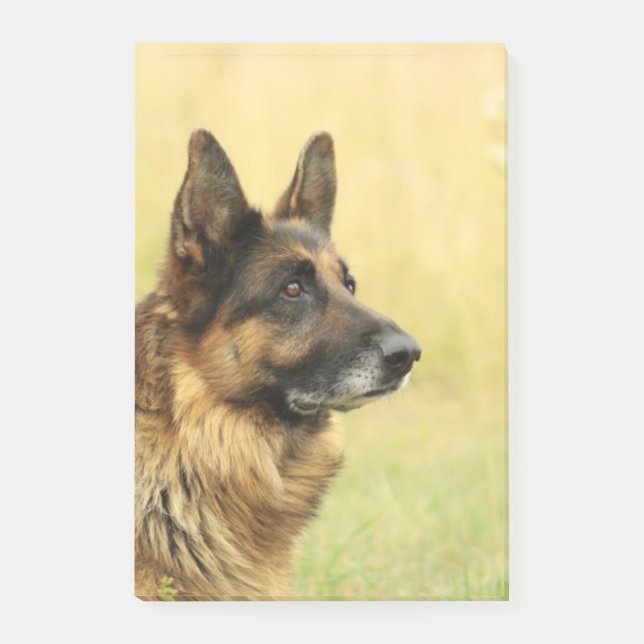 German Shepherd Post-it Notes (Front)
