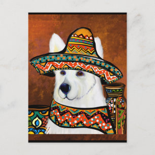 German Shepherd      Postcard