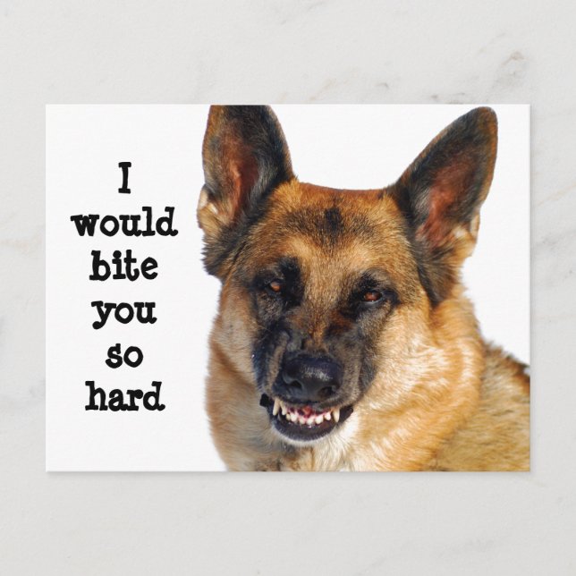 German Shepherd Postcard (Front)
