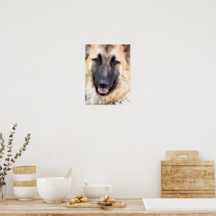 GERMAN SHEPHERD POSTER