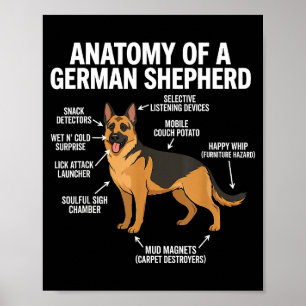 German Shepherd Poster