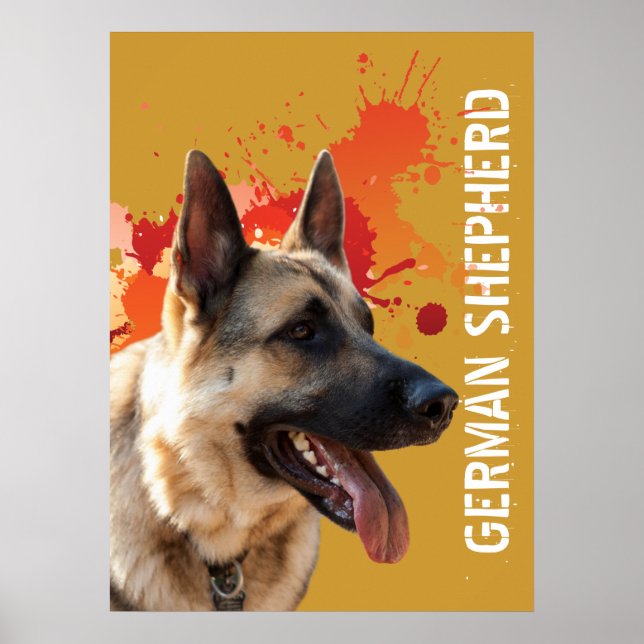 German Shepherd Poster (Front)