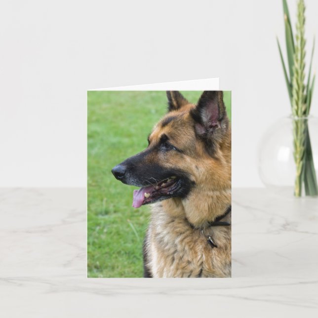 German Shepherd Profile Card (Front)