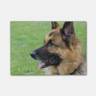German Shepherd Profile Post-it Notes