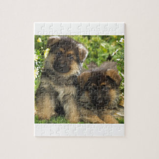 German Shepherd Puppies Jigsaw Puzzle
