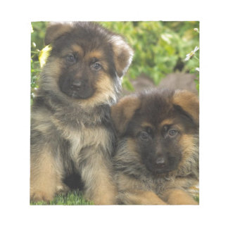 German Shepherd Puppies Notepad