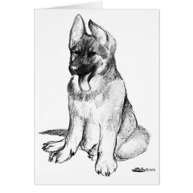 German Shepherd Puppy (Front)