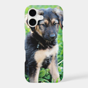 German Shepherd Puppy
