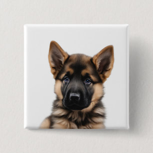 German Shepherd Puppy 15 Cm Square Badge