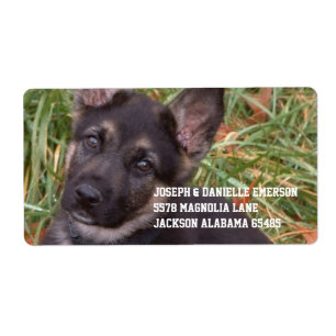 German Shepherd Puppy Address Labels