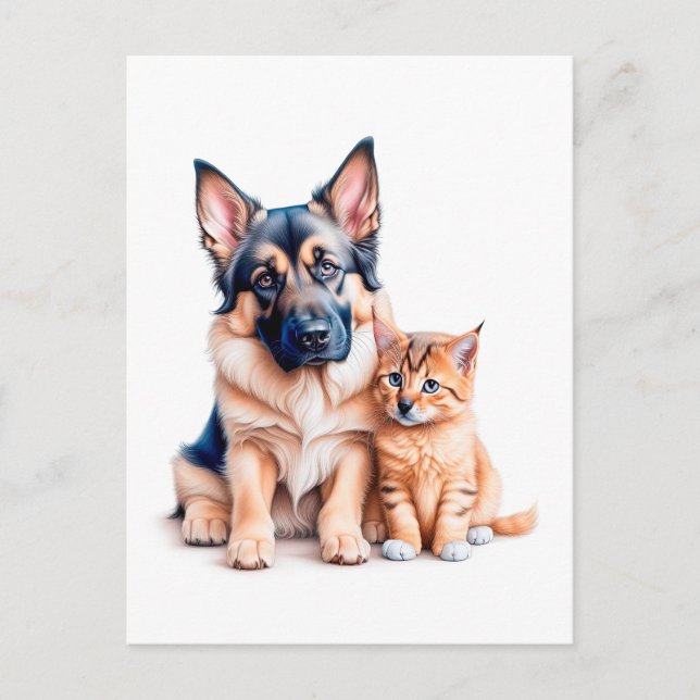 German Shepherd Puppy And Maincoon Kitten Postcard (Front)