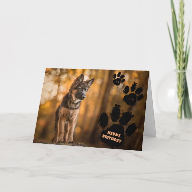 German shepherd puppy birthday card. card (Front)