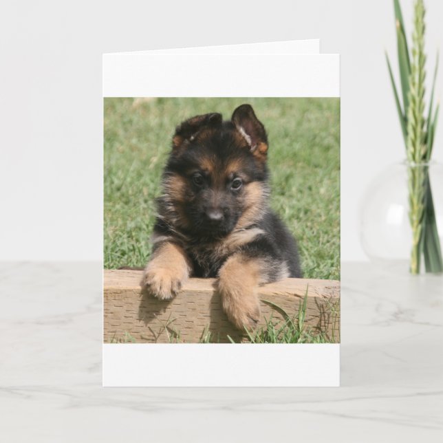 German Shepherd Puppy Card (Front)