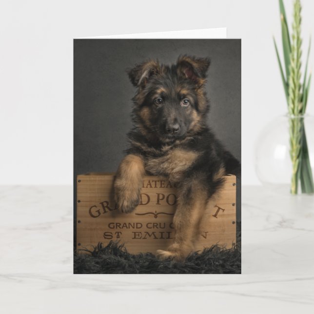 German shepherd puppy card. holiday card (Front)
