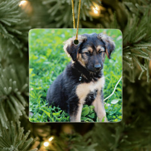German Shepherd Puppy Ceramic Ornament