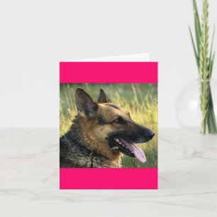 German Shepherd Puppy Dog Blank  Note Card