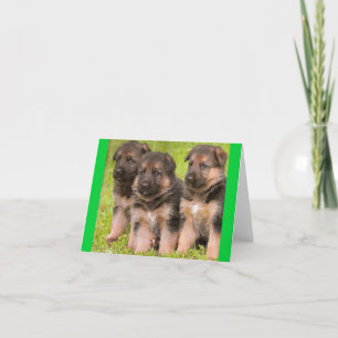 German Shepherd Puppy Dog Blank Note Card