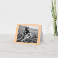 German Shepherd Puppy Dog Blank Pink Note Card