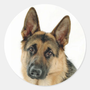German Shepherd Puppy Dog Stickers / Labels