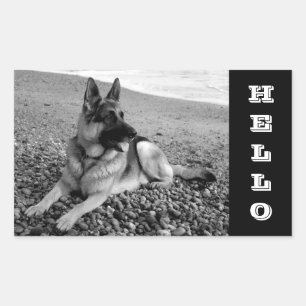 German Shepherd Puppy Hi / Hello Sticker / Labels