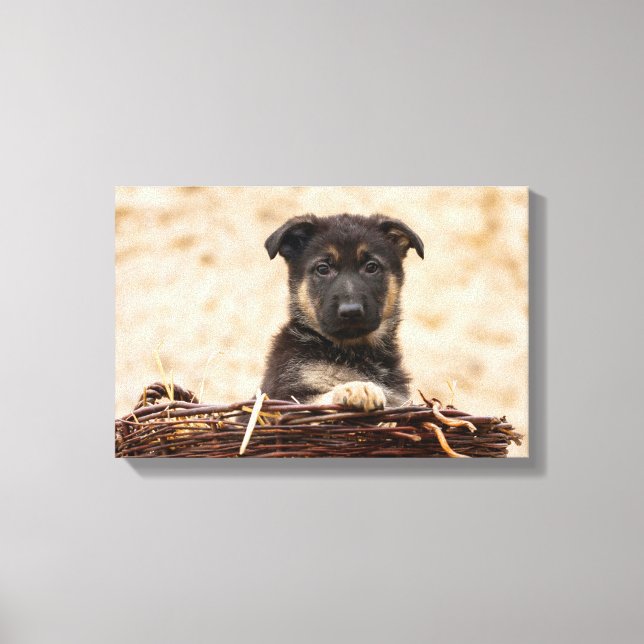 German Shepherd Puppy In Basket Canvas Print (Front)