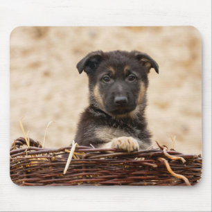 German Shepherd Puppy In Basket Mouse Pad