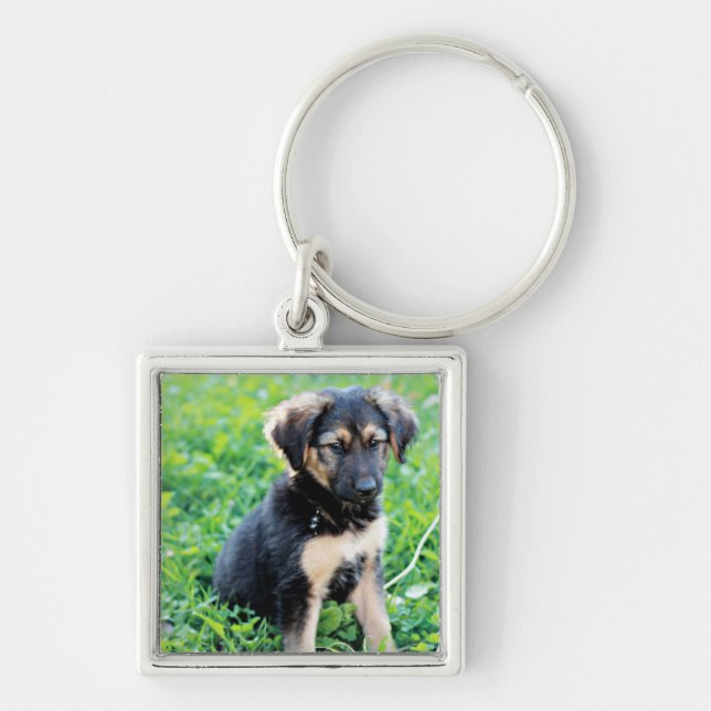 German Shepherd Puppy Key Ring (Front)
