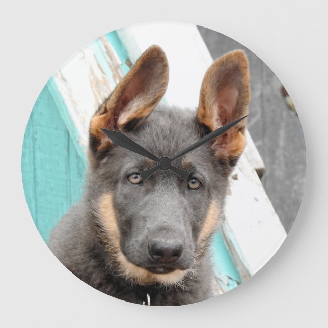 German Shepherd Puppy  Large Clock (Front)