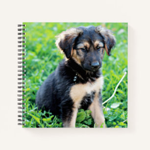 German Shepherd Puppy Notebook