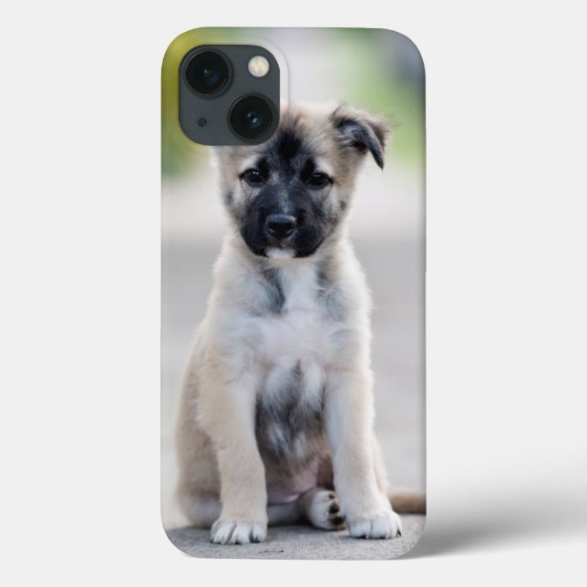 German Shepherd Puppy on Footpath Case-Mate iPhone Case (Back)