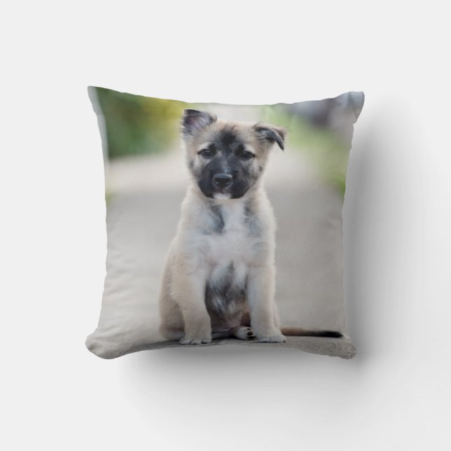 German Shepherd Puppy on Footpath Cushion (Front)
