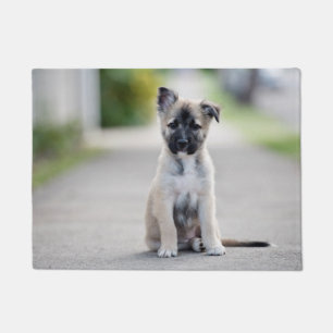 German Shepherd Puppy on Footpath Doormat