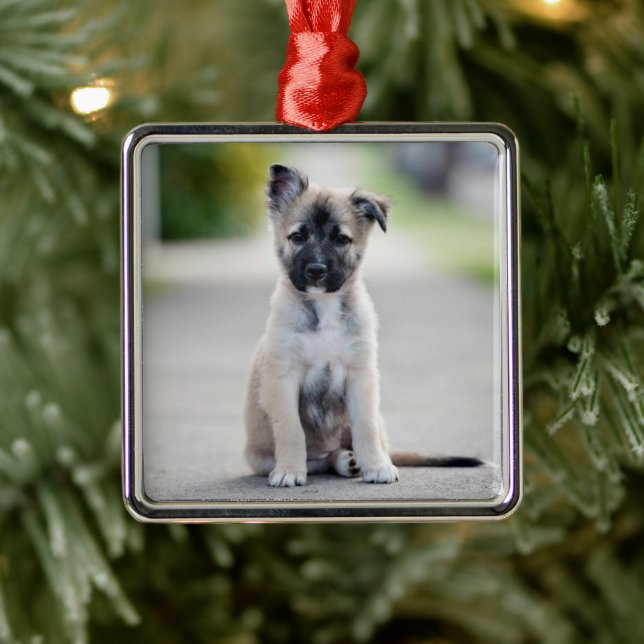 German Shepherd Puppy on Footpath Metal Tree Decoration (Tree)
