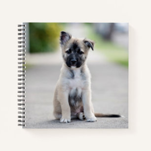 German Shepherd Puppy on Footpath Notebook