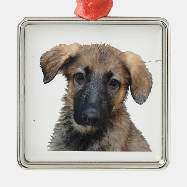 German Shepherd puppy ornament (Front)