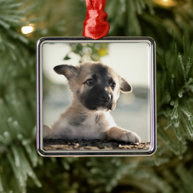 German Shepherd Puppy Over Ledge Metal Tree Decoration (Tree)