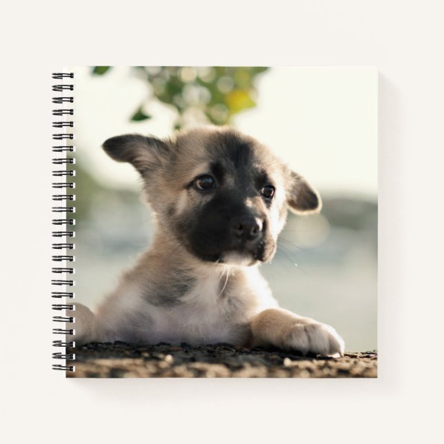 German Shepherd Puppy Over Ledge Notebook (Front)