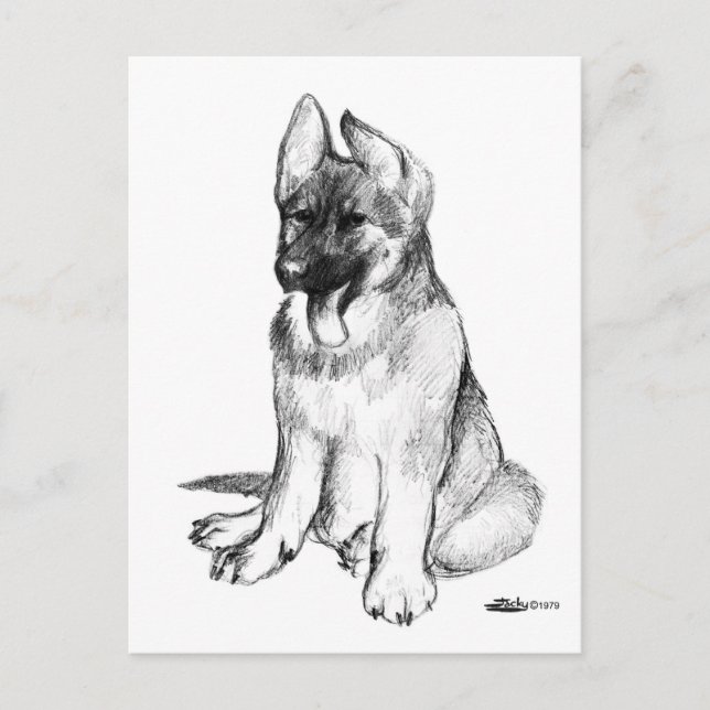 German Shepherd Puppy Postcard (Front)