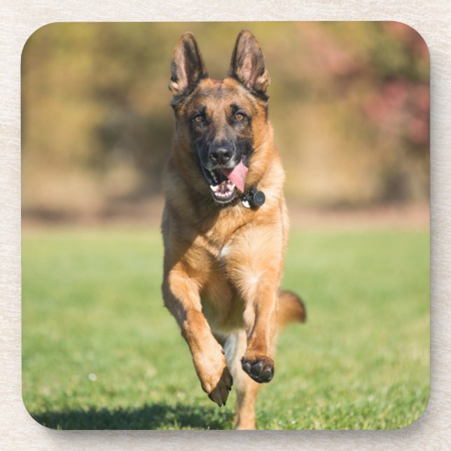German Shepherd Running Coaster (Front)