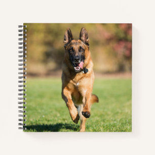 German Shepherd Running Notebook