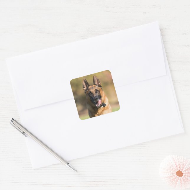 German Shepherd Running Square Sticker (Envelope)