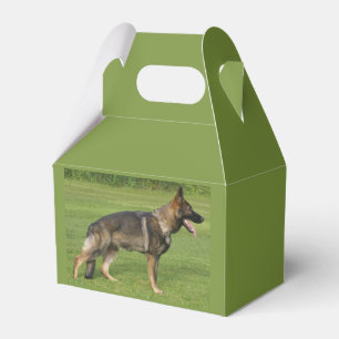 German Shepherd Sable Full Favour Box