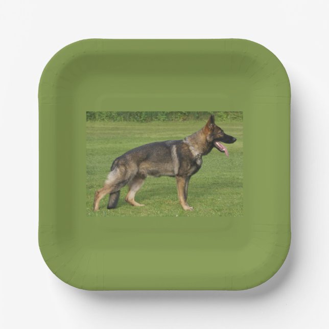 German Shepherd Sable Full  Paper Plate (Front)