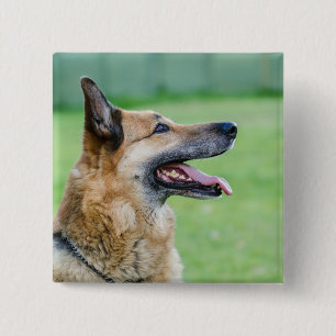 German Shepherd Side Portrait 15 Cm Square Badge