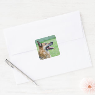 German Shepherd Side Portrait Square Sticker