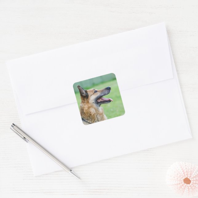 German Shepherd Side Portrait Square Sticker (Envelope)