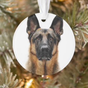 German Shepherd Sitting Up Ornament