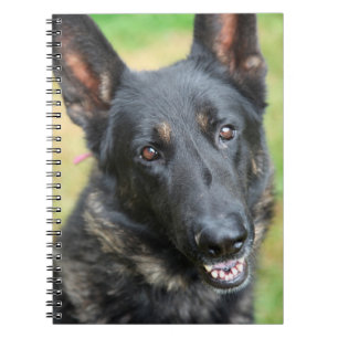 German Shepherd Spiral Notebook